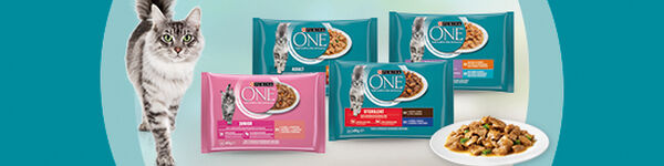 Comida Húmida para Gato