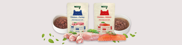 Alimentação Húmida para Gato