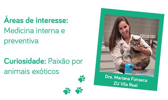 Conselho Veterinário