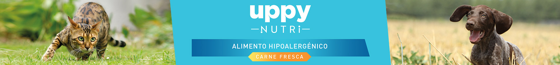 Uppy Nutri