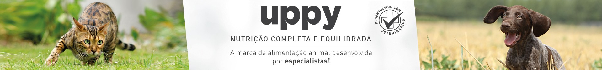 Uppy Cão