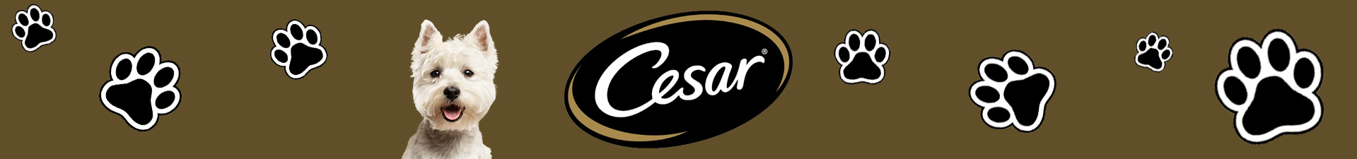 Cesar